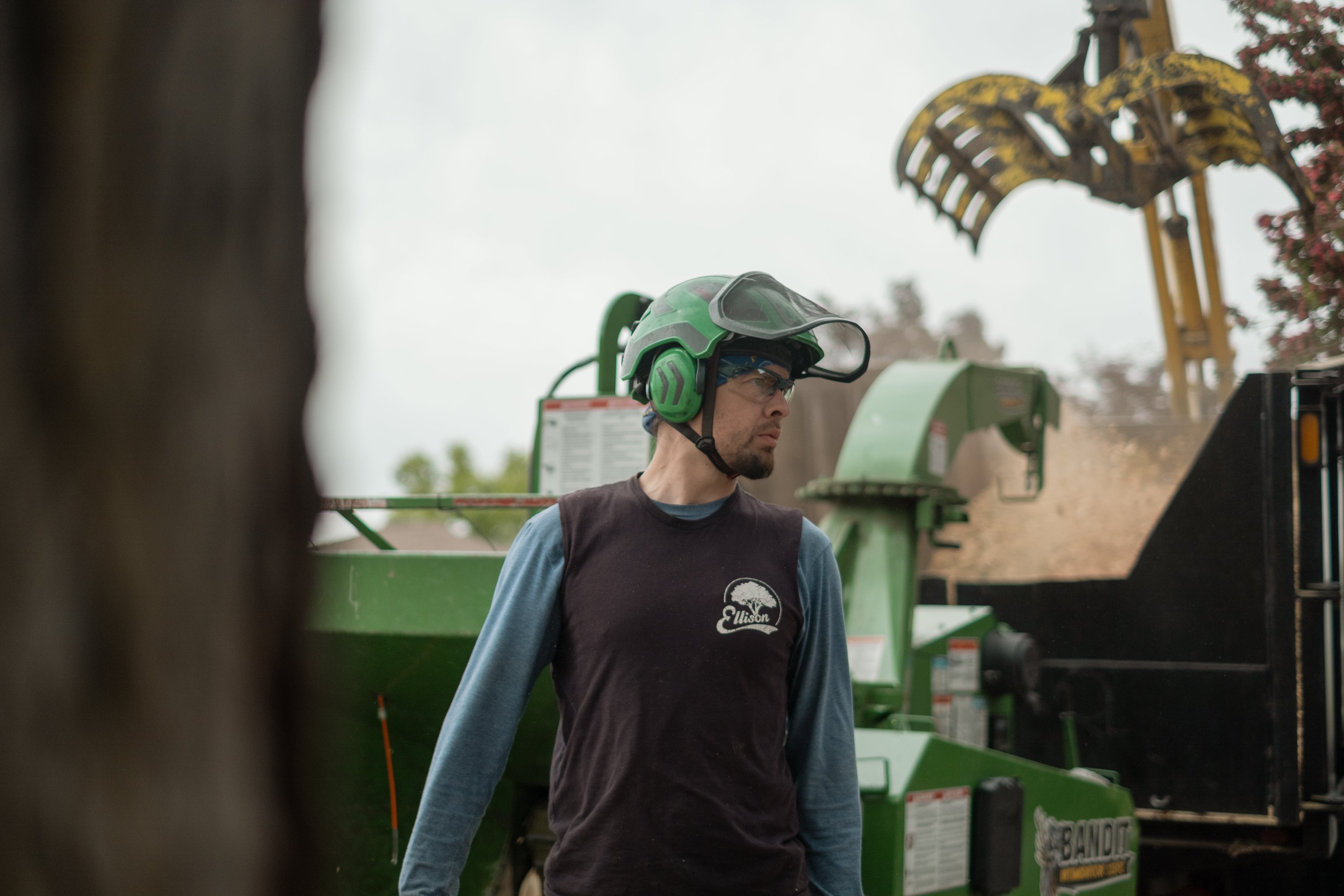 Safety Glasses Being Worn by Arborist With Protective Gear