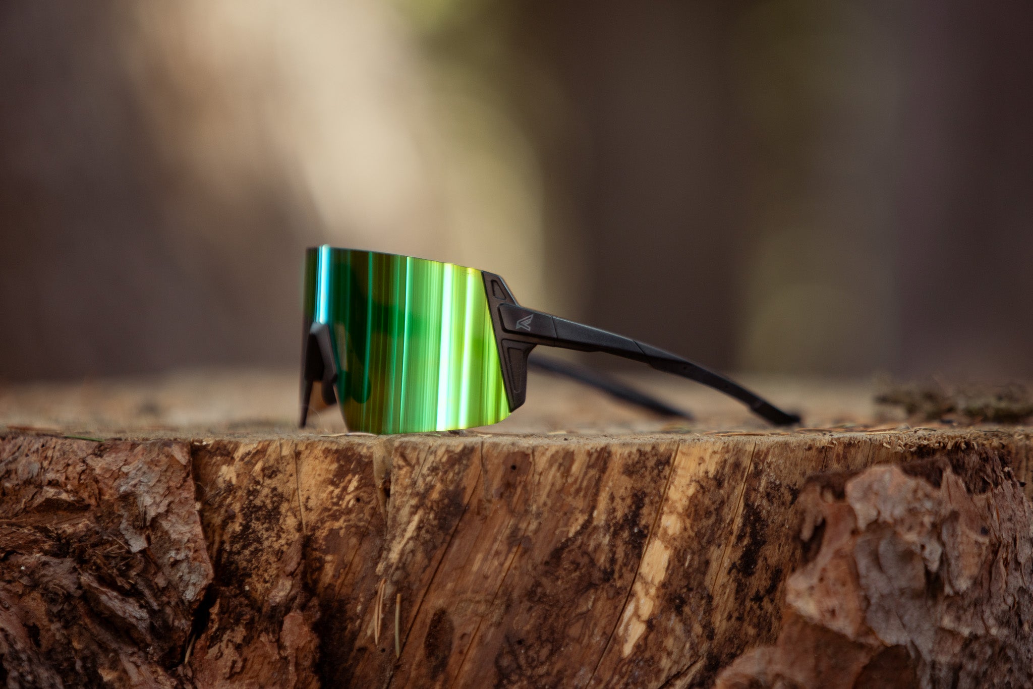 green lens safety glasses sitting on cut log outdoors with blurred background.